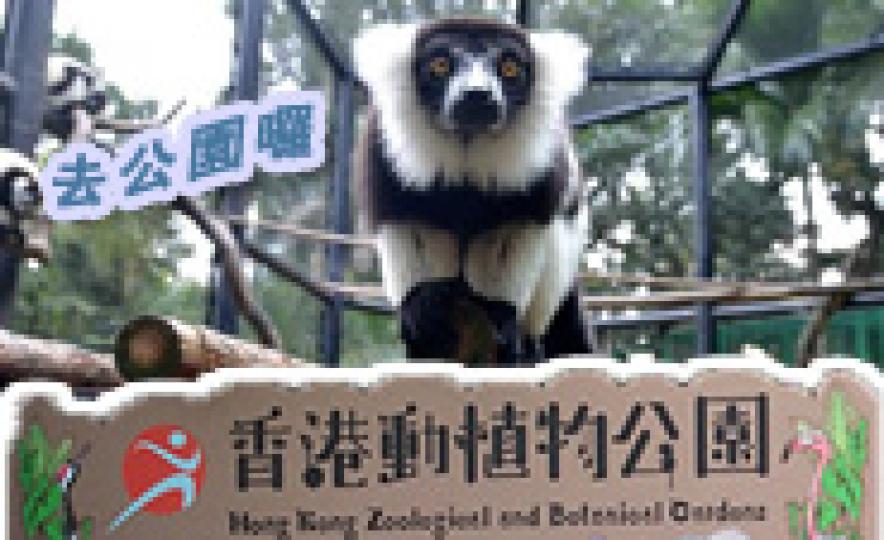 20170526_lcsd_hkzbg(185).jpg 20170526_lcsd_hkzbg(185).jpg