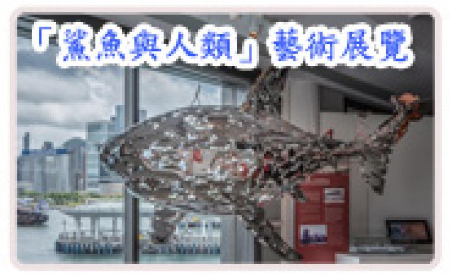 20170918_on_sharks(185).jpg 20170918_on_sharks(185).jpg