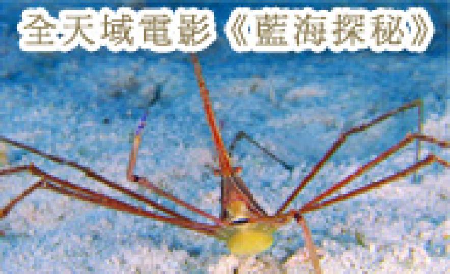 20171023_lcsd_secret_ocean(185).jpg 20171023_lcsd_secret_ocean(185).jpg