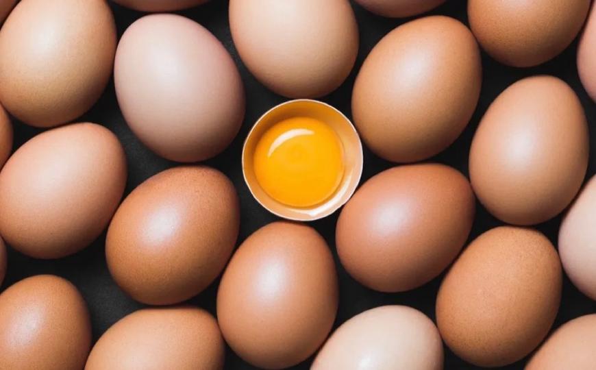 【Denice x Adrien 輕談食療分享】第二十一集 雞蛋