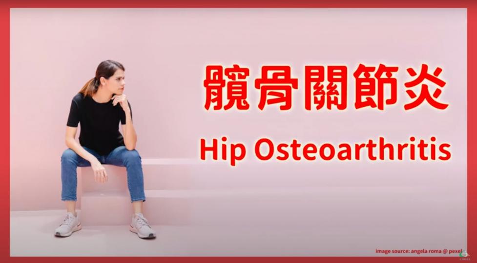 髖骨痛之髖骨關節炎 Hip Osteoarthritis【傷患痛症系列】