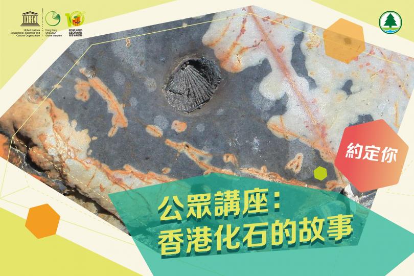 【公眾講座：香港化石的故事】