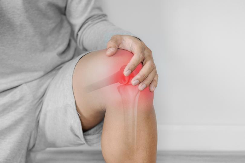 膝痛及肌肉流失講座