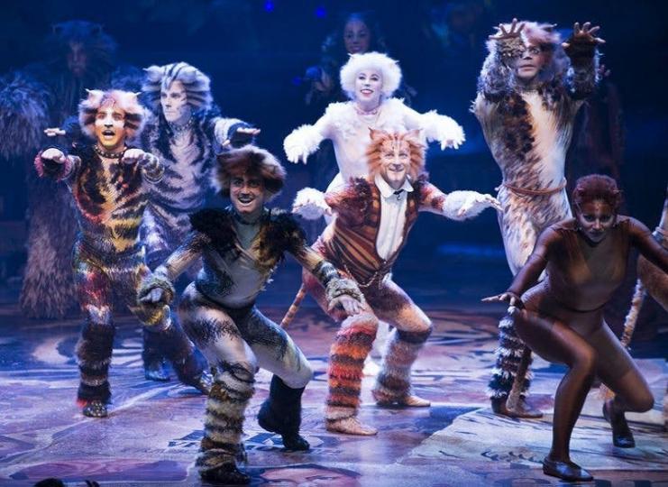經典音樂劇《Cats》將開放網上直播　畀觀眾免費欣賞！