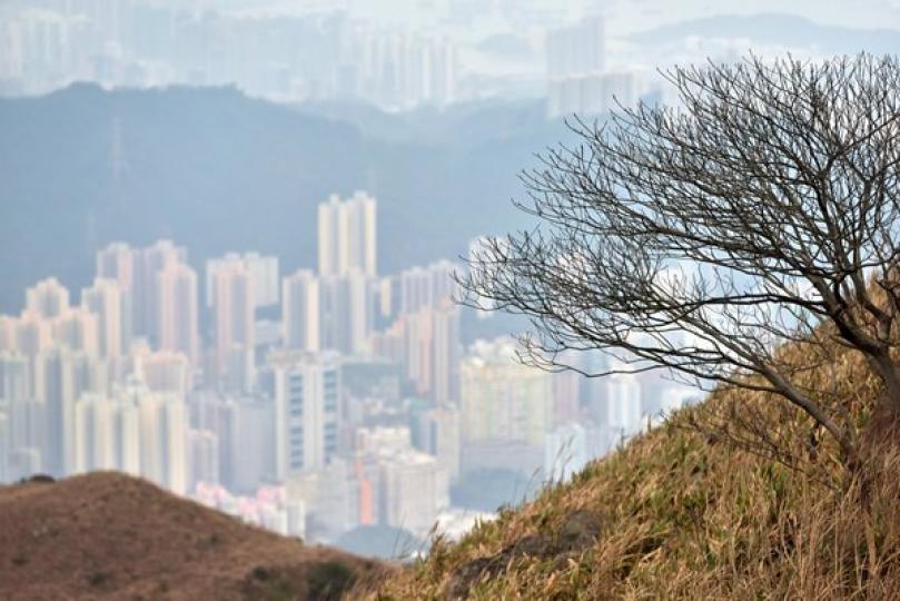 空氣污染或達嚴重水平 空氣污染或達嚴重水平