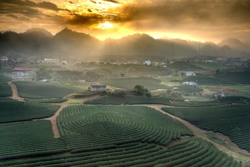 【健康焦點】秋燥咳嗽痕癢 止咳食療 養肺保健 | 商報