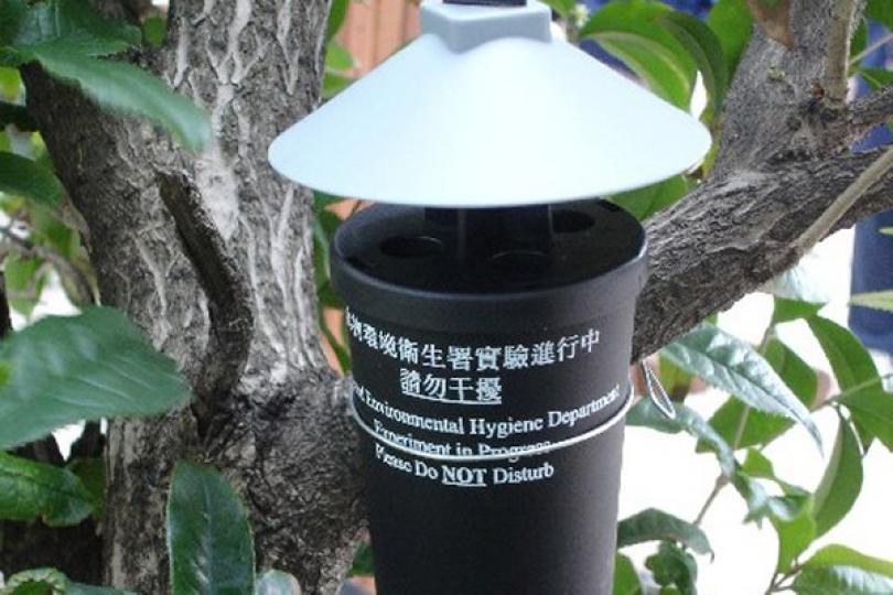 8月誘蚊產卵器指數持續回落 8月誘蚊產卵器指數持續回落