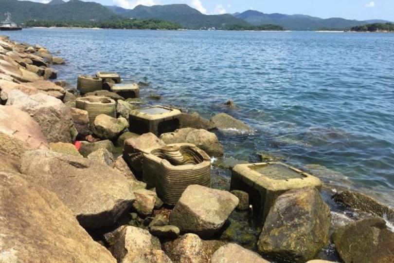黃偉綸網誌談生態海岸線 黃偉綸網誌談生態海岸線