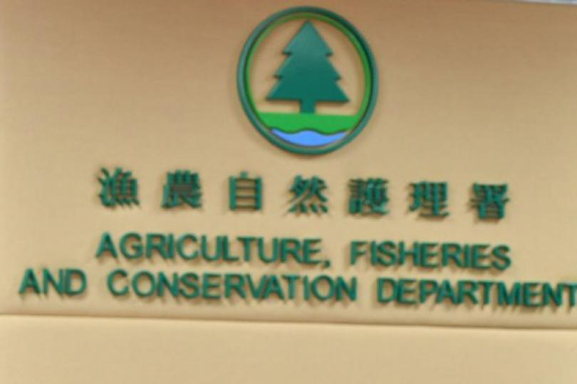 狗隻低程度感染新型肺炎 狗隻低程度感染新型肺炎