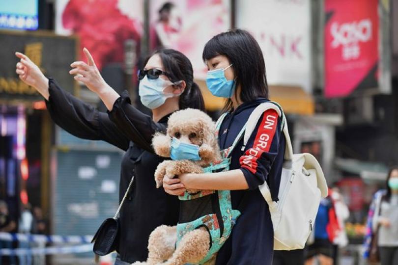 抗疫三月 曙光漸露 抗疫三月 曙光漸露