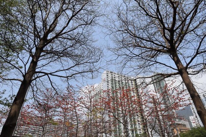 坪石邨患者同事確診 坪石邨患者同事確診
