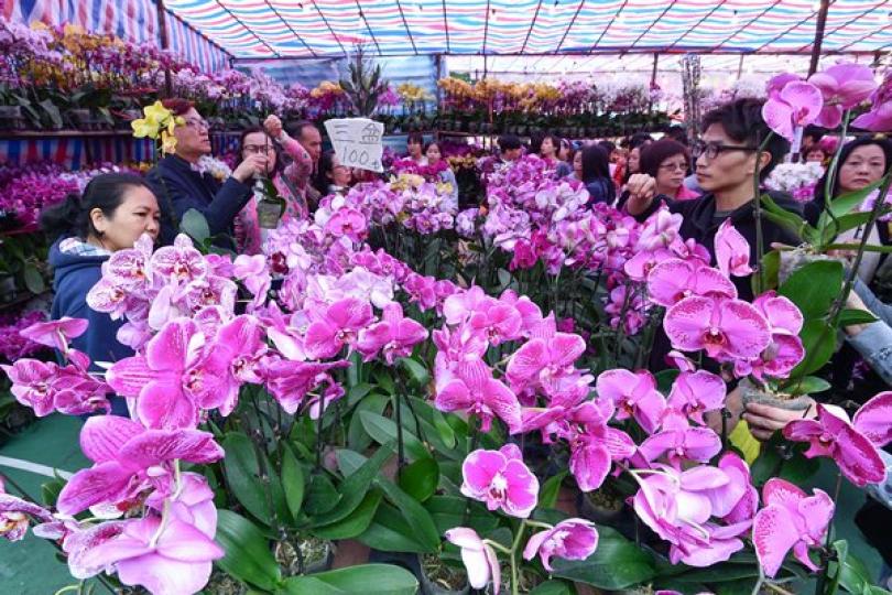 維園年宵市場169個濕貨攤位租出 維園年宵市場169個濕貨攤位租出