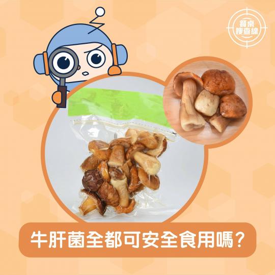 【餐桌搜查線 • 牛肝菌全都可安全食用嗎？】