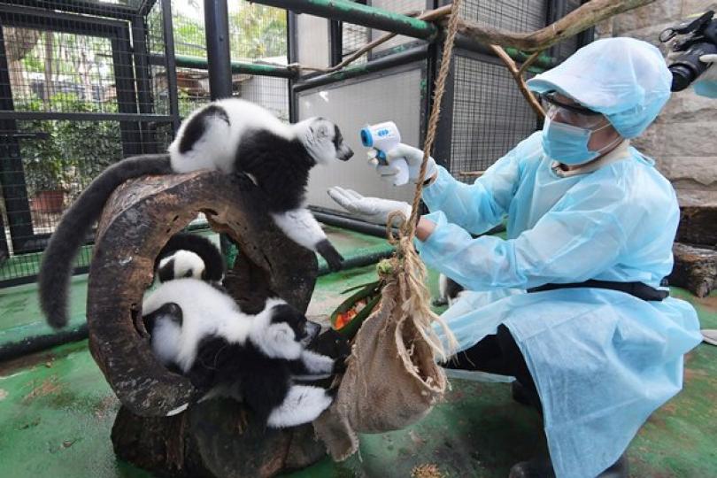 滿園熱鬧關不住 滿園熱鬧關不住