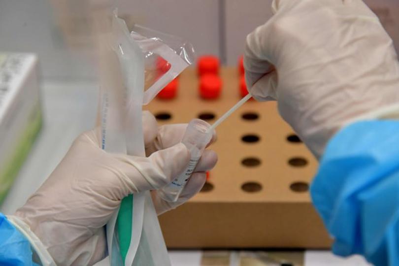 檢測試劑不受病毒基因轉變影響 檢測試劑不受病毒基因轉變影響
