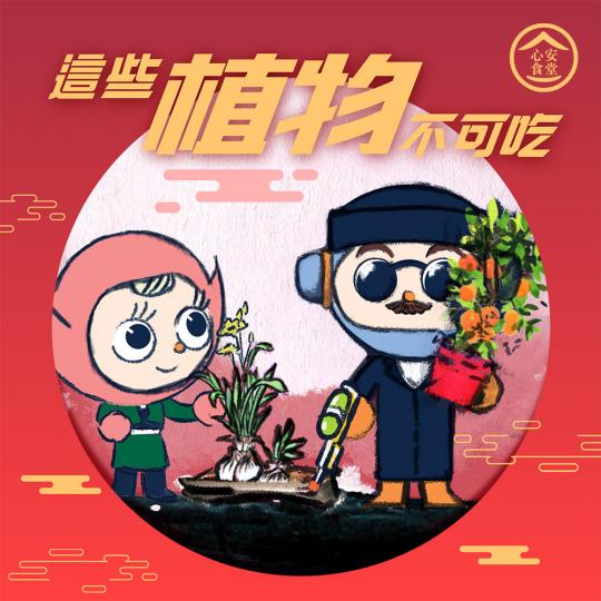 🍊【心安食堂 • 賀年盆桔和水仙是不可食用的！】🙅‍♀️