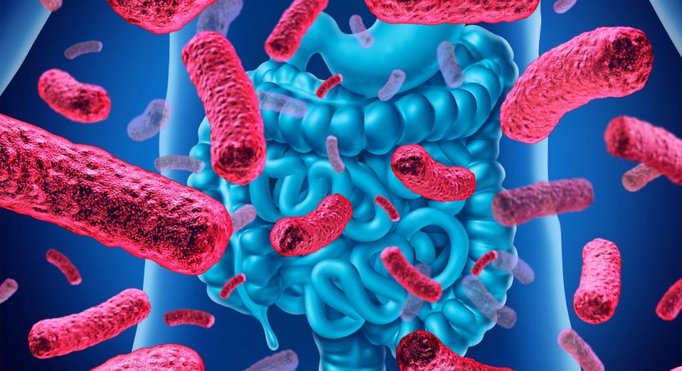 益生菌改善腸道微生態 活化腸道 注入健康 益生菌改善腸道微生態 活化腸道 注入健康