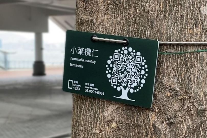 二維碼標籤計劃助公眾關注樹木 二維碼標籤計劃助公眾關注樹木