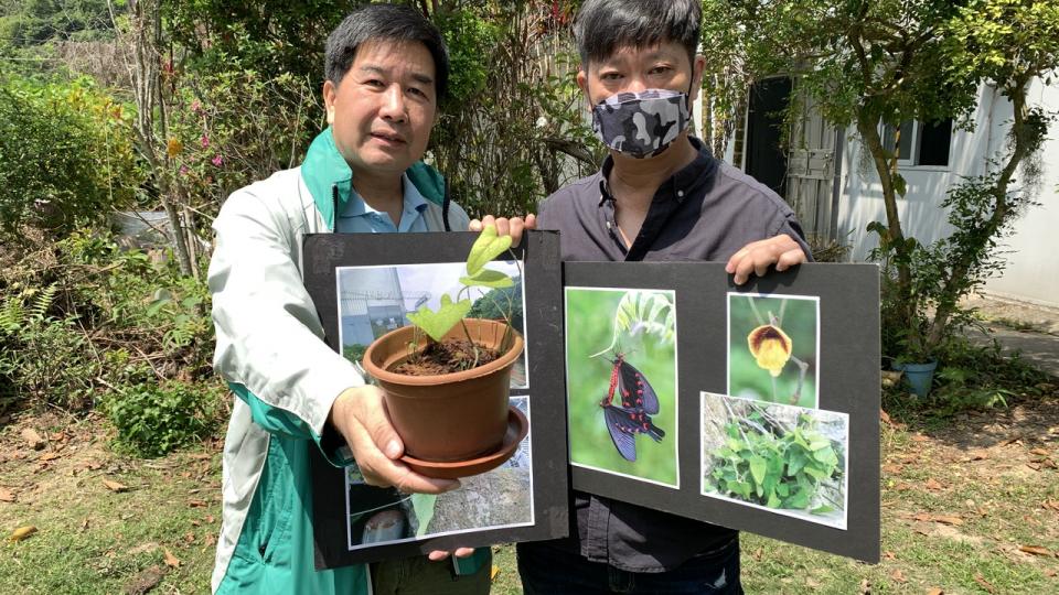 聶高信山擬建發射站 環團憂影響中華麝鳳蝶生態:品種極罕見 聶高信山擬建發射站 環團憂影響中華麝鳳蝶生態:品種極罕見
