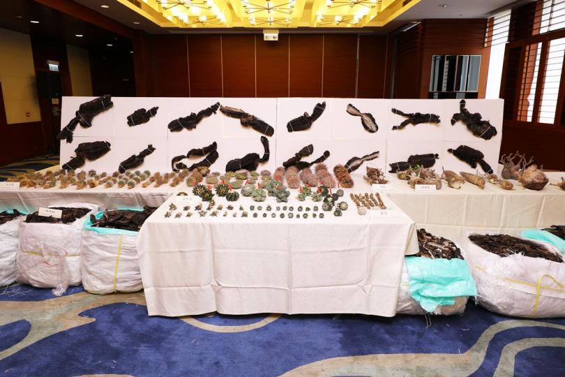 ​加強執法:  香港海關在6月2日至7日的執法行動中，偵破一宗涉嫌利用快艇走私的案件，檢獲一批市值約1.2億元的懷疑走私物品，部分為受管制瀕危物種。