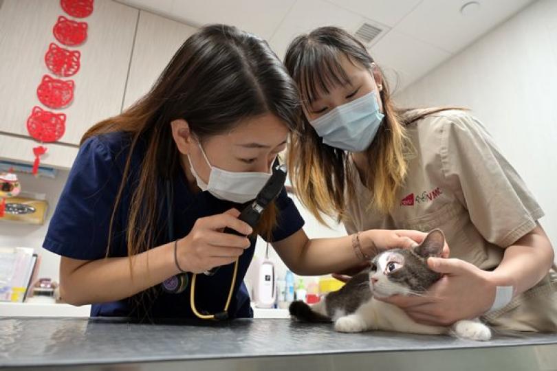 與毛孩追夢 與毛孩追夢