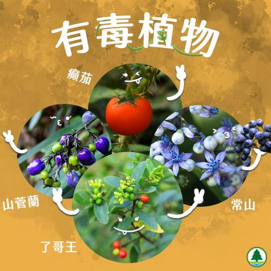 【你小心 一「掂」便顛倒人生! 】 【你小心 一「掂」便顛倒人生! 】