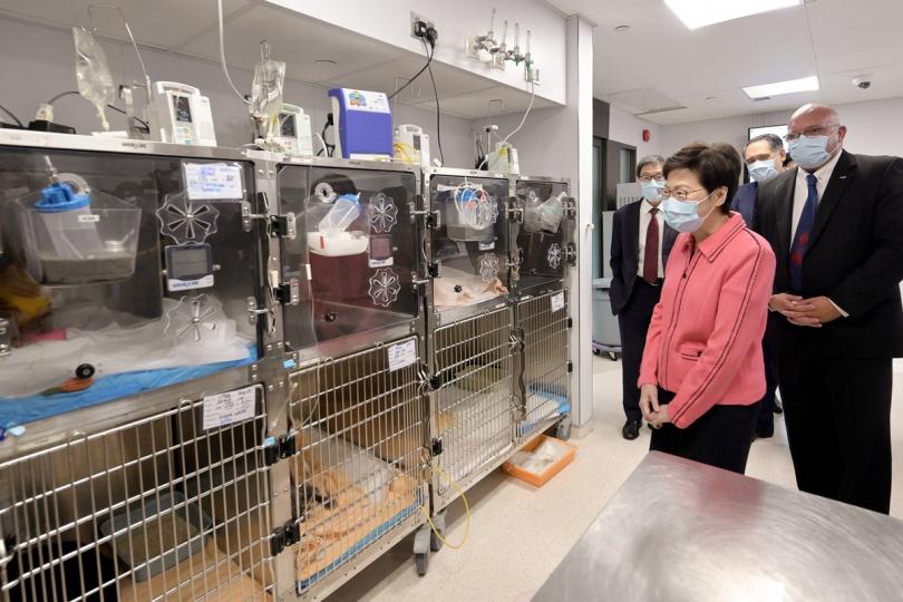首屈一指: 林鄭月娥(左二)參觀城市大學位於深水埗的城大動物醫療中心,聽取校方代表介紹狗隻病房的設備。 首屈一指: 林鄭月娥(左二)參觀城市大學位於深水埗的城大動物醫療中心,聽取校方代表介紹狗隻病房的設備。