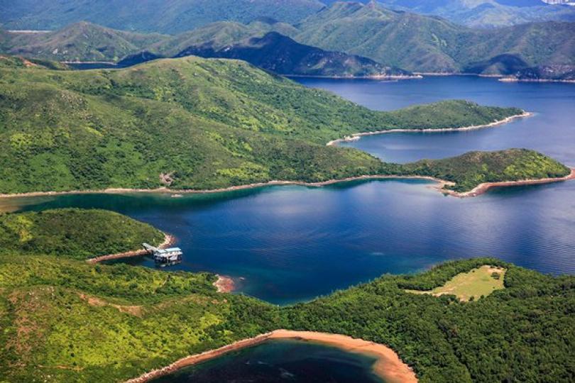 保海岸 育珊瑚 保海岸 育珊瑚