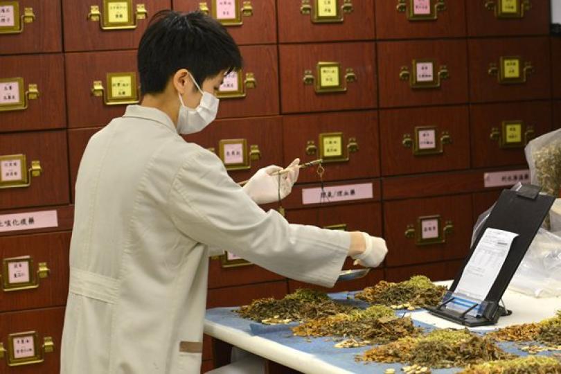 灣區建設有利香港中醫藥發展 灣區建設有利香港中醫藥發展
