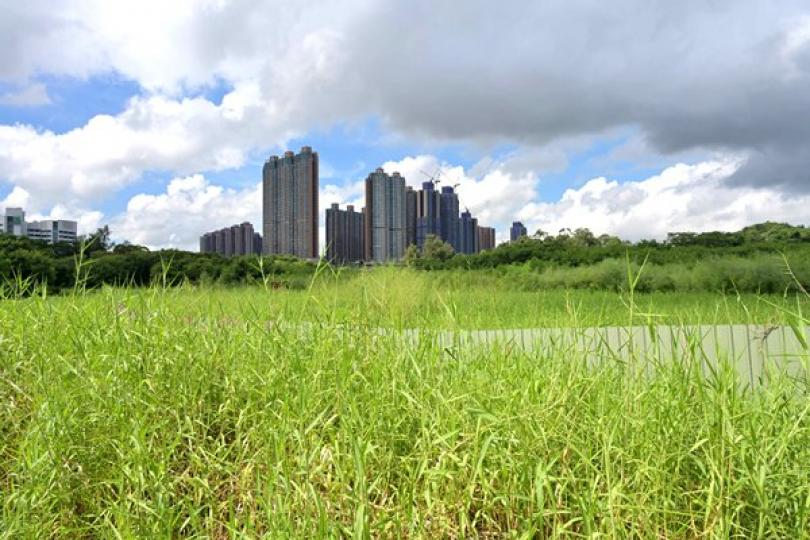 特首:地產商願配合政府政策 特首:地產商願配合政府政策