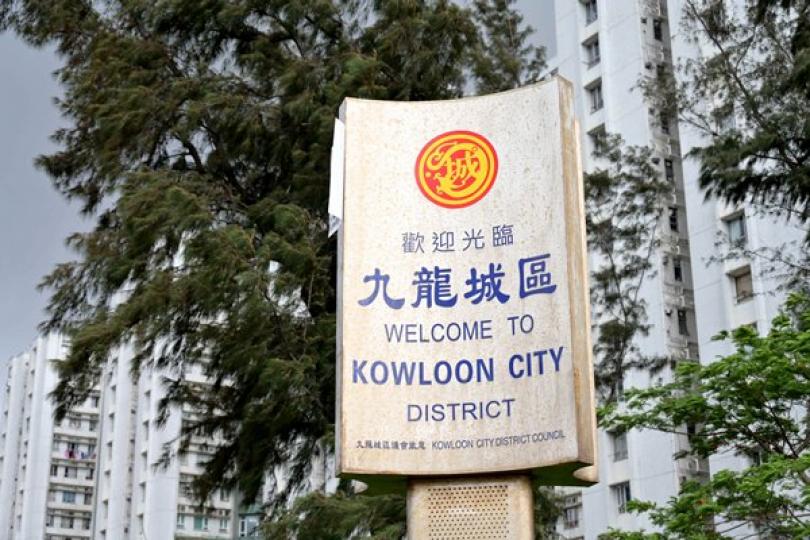 十名區議員宣誓確定無效 十名區議員宣誓確定無效