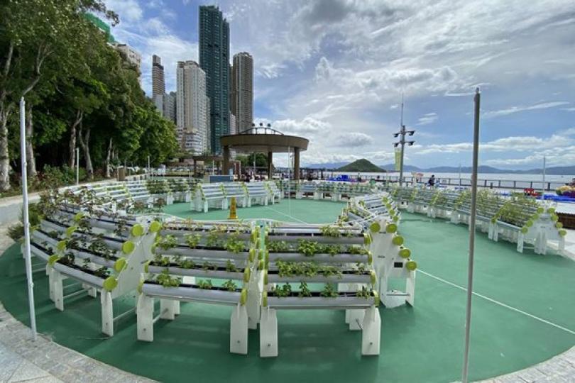 20項目獲資助善用政府空置土地 20項目獲資助善用政府空置土地