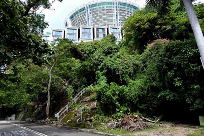 淺水灣住宅用地招標 淺水灣住宅用地招標