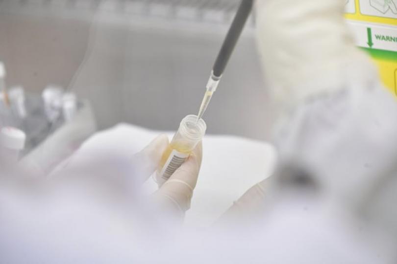 望月樓疑有超級傳播 兩食客染疫 望月樓疑有超級傳播 兩食客染疫