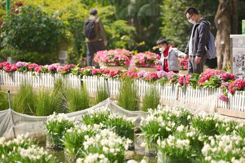 愛護林木 締造宜居城市 愛護林木 締造宜居城市