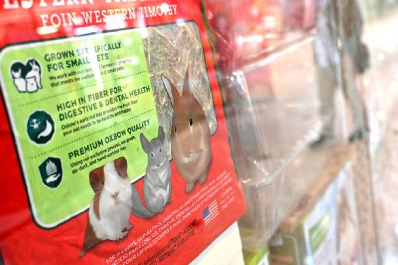 按科學證據處理感染新冠病毒動物