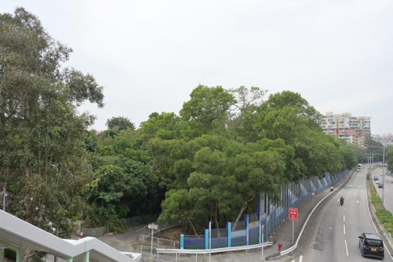 青山公路大欖段住宅地流標 青山公路大欖段住宅地流標