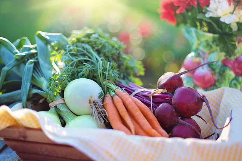 【健康焦點】5大助眠食物|善用營養標籤選購健康食品|5動作增強上肢肌力 【健康焦點】5大助眠食物|善用營養標籤選購健康食品|5動作增強上肢肌力