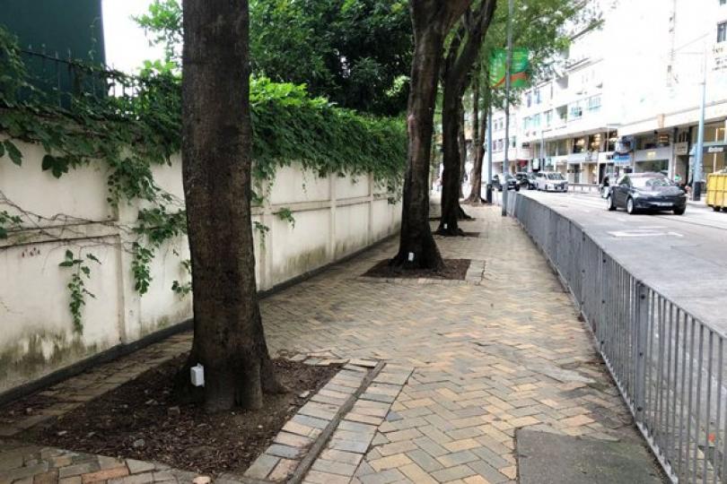 新街道索引光碟發售 新街道索引光碟發售