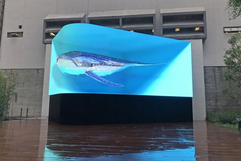 油街實現全新藝術空間盡顯心思 油街實現全新藝術空間盡顯心思