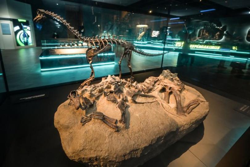 科學館恐龍展預約安排優化 科學館恐龍展預約安排優化
