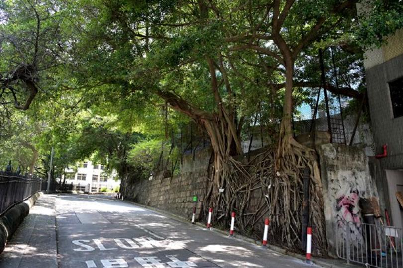 醫院道住宅地逾五億批出 醫院道住宅地逾五億批出