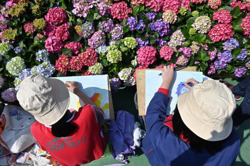 花展3月19日晚閉幕 維園本周派發花卉(已派完) 花展3月19日晚閉幕 維園本周派發花卉(已派完)