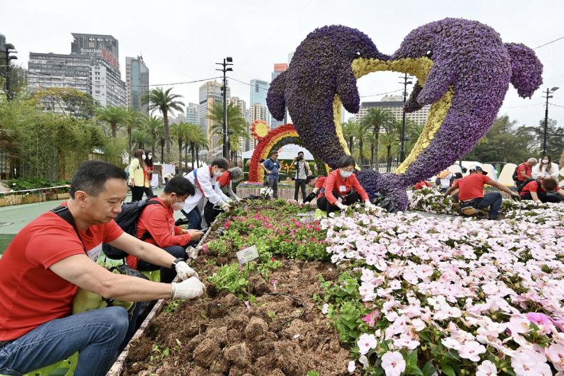 減少廢物: 香港花卉展覽結束,康樂及文化事務署舉辦花展環保回收日,義工在會場協助分類和回收花卉。 減少廢物: 香港花卉展覽結束,康樂及文化事務署舉辦花展環保回收日,義工在會場協助分類和回收花卉。