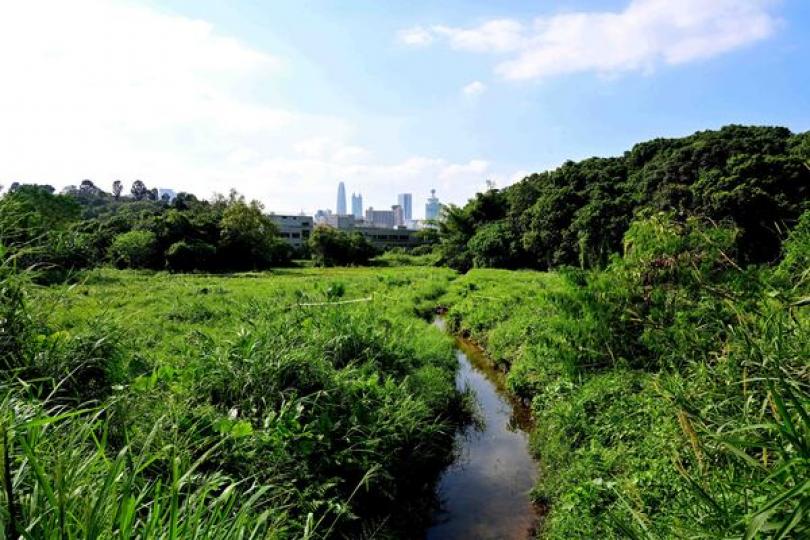 邊境禁區修訂令周五刊憲 邊境禁區修訂令周五刊憲