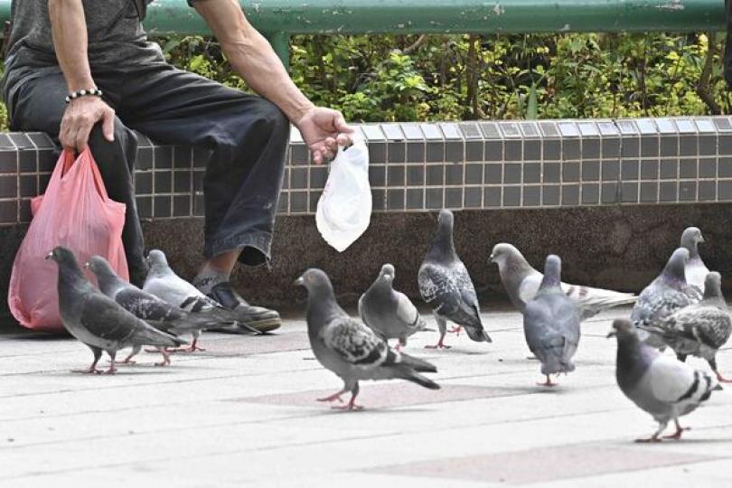 提高餵飼野生動物罰則法案刊憲