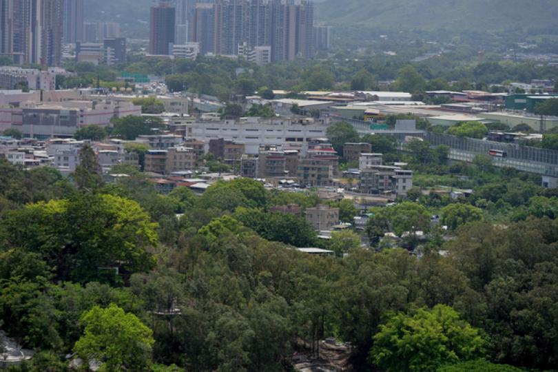 洪水橋厦村原址換地接受申請 洪水橋厦村原址換地接受申請
