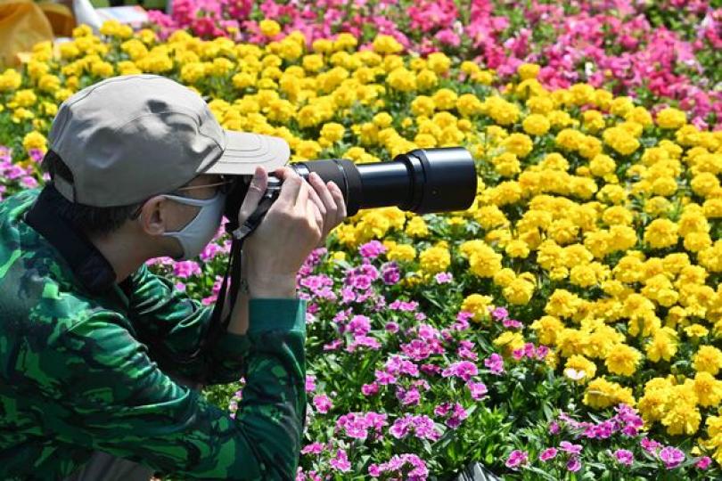 花展攝影比賽推廣社區綠化 花展攝影比賽推廣社區綠化