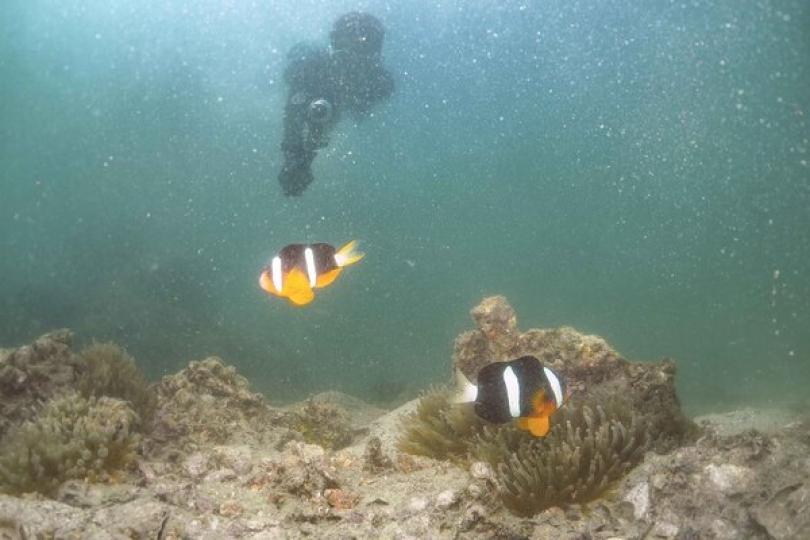 政府刊憲指定北大嶼海岸公園 政府刊憲指定北大嶼海岸公園