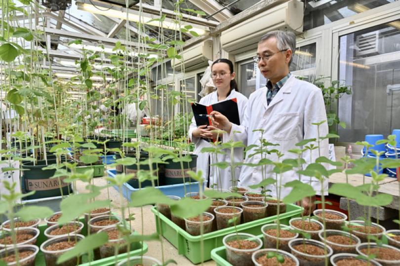 貢獻國家 共同進步 貢獻國家 共同進步